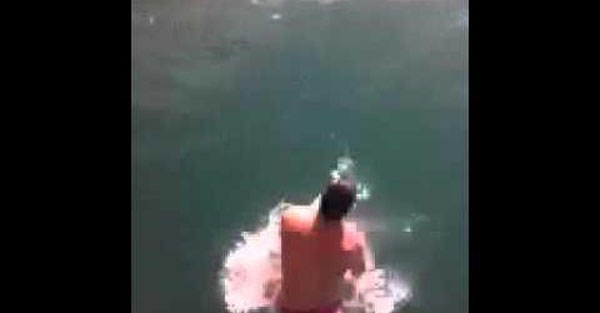 Australian man jumps on tiger shark as a DARE!