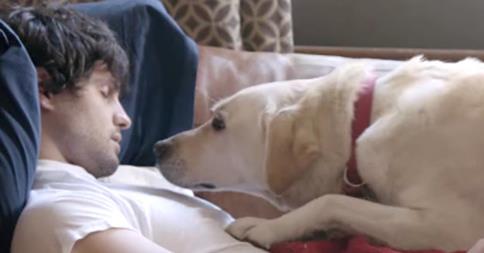 This New Budweiser PSA Will Turn You Into A Puddle Of Mush...In a GOOD way!