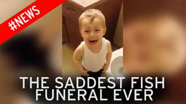 Toddler Kissing His Dead Goldfish Goodbye & Flushing Him Down the Toilet :(