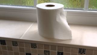 Toilet Roll Changing - Teenage Instructional Video!
