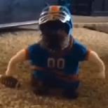 WATCH: Doggy in a Football Uniform