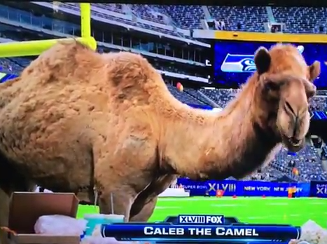 WATCH: Guess What Day It Is? The NEW One! LOL